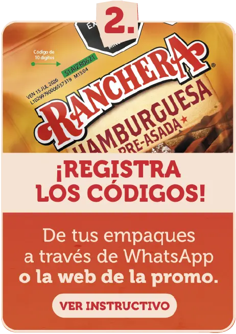 Paso 2